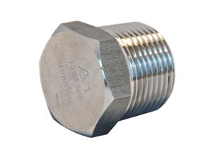 Zeskant plug
