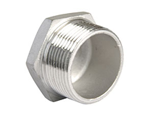 Rvs 316 zeskant plug conische draad BSP