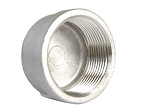 Rvs 316 ronde kap BSP